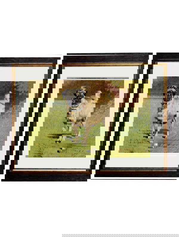 Exceptional Art c.1881 Dogs