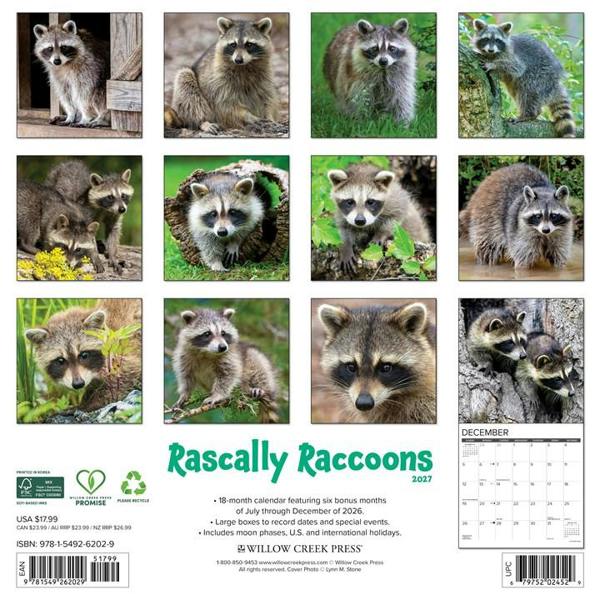 Rascally Raccoons Calendar 2027, Wall Calendars, Month To View, Animals, Gift
