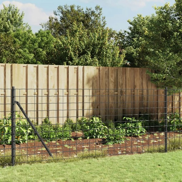 Berkfield Wire Mesh Fence with Spike Anchors Anthracite 1.1x25 m