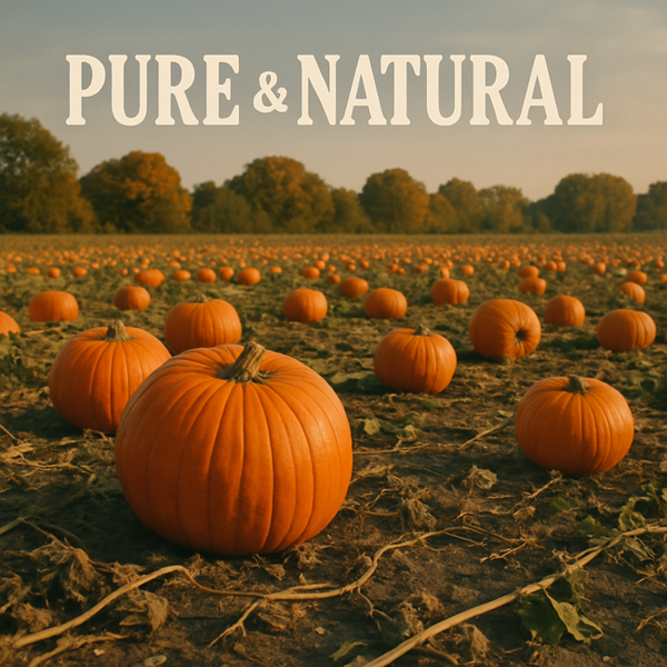 Ol'Vita Pumpkin Seed Oil | Cold Pressed | Unrefined