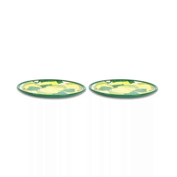 set of 2 plates