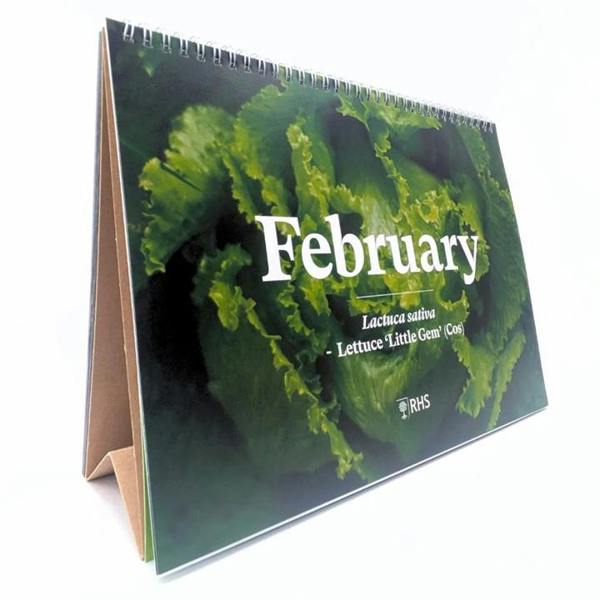 RHS, Plantable Veg & Herb Large Easel Desk Calendar 2027, Desk Calendars, Month To View, Lifestyle, Gift