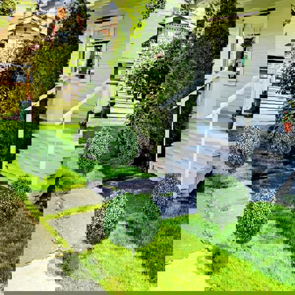 Artificial Topiaries