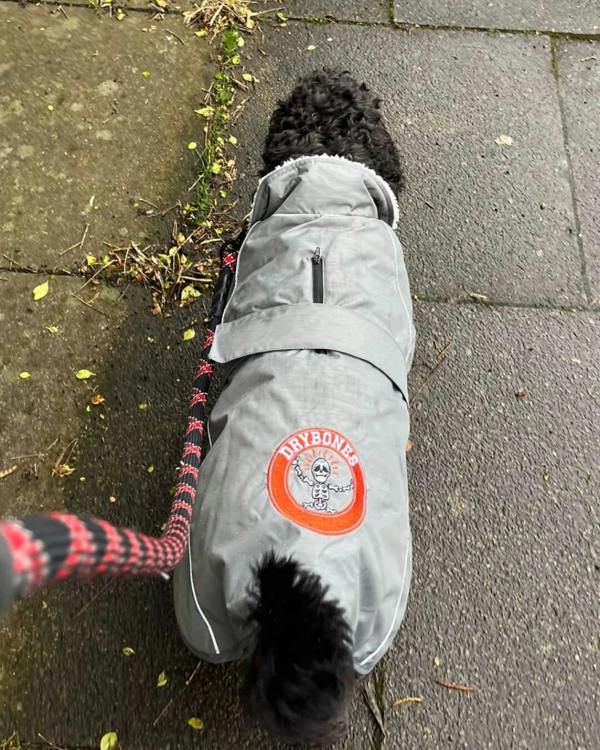 DRYBONES Waterproof Dog Coat