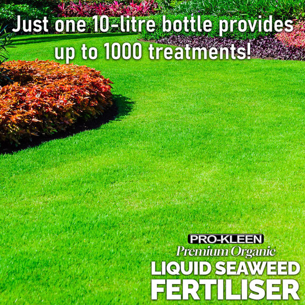 ProKleen Pro-Kleen Organic Liquid Seaweed Fertiliser 10L Ascophyllum Seaweed Extract for Grass Vegetables Fruit Flowers Shrubs Lawns