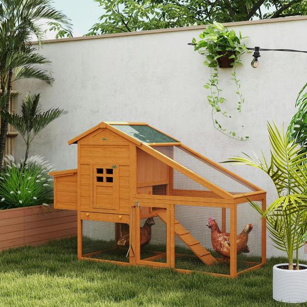 Chicken Coop