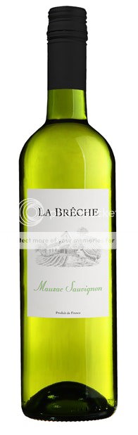 Les Vignobles Alain Gayrel, La Breche, Cotes de Tarn, Mauzac Sauvignon  2022 75cl