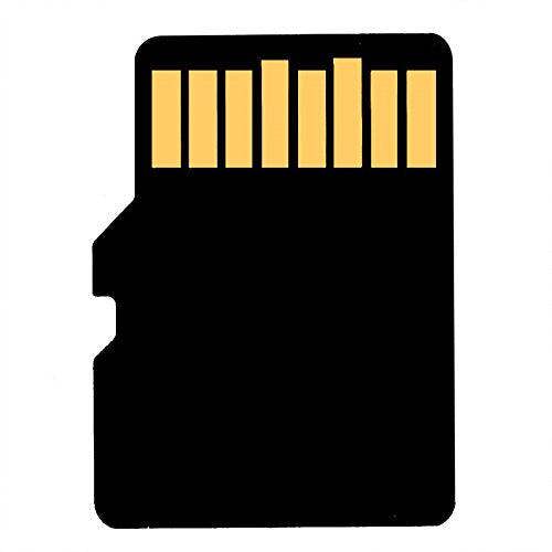 Kingston SDC10G2  SDHC/SDXC Class 10 UHS-I Micro SD Card