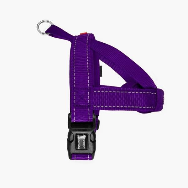 EzyDog Quick Fit Dog Harness in Purple