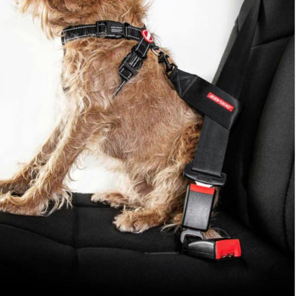 EzyDog Dog Seatbelt Restraint