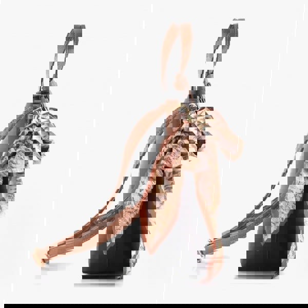 1679663744-18798400.jpg