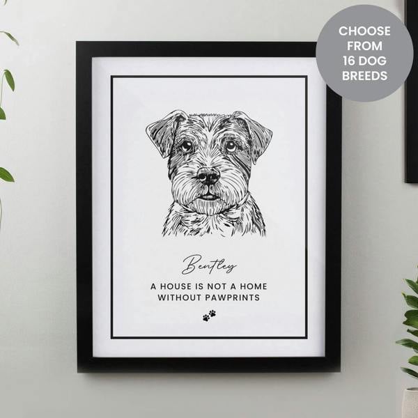 A black framed wall art print featuring a detailed sketch of a Border Terrier with text reading 'Bentley' and 'A house is not a home without pawprints'.