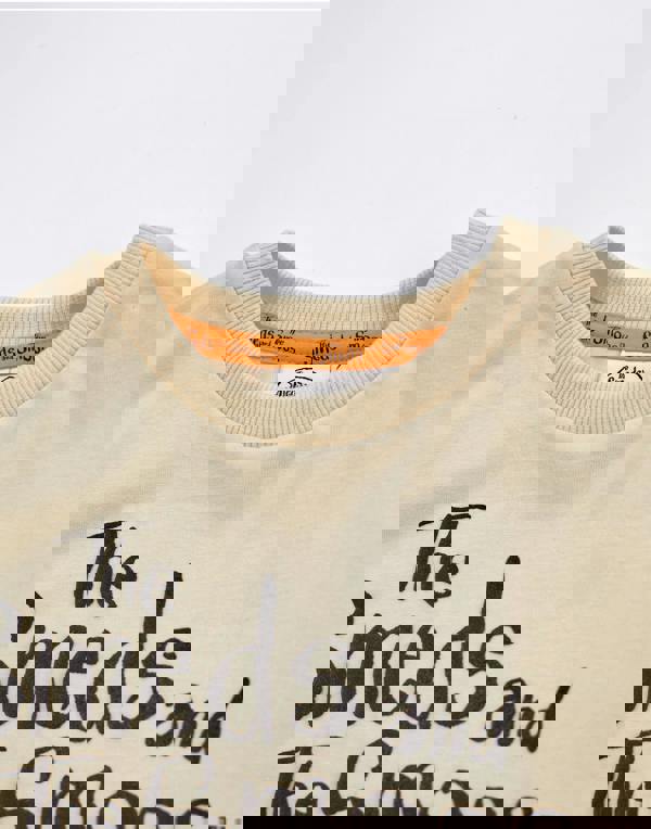 Gruffalo & Friends The Smeds and the Smoos Unisex Kids Beige Multi Character Short Sleeved T-Shirt