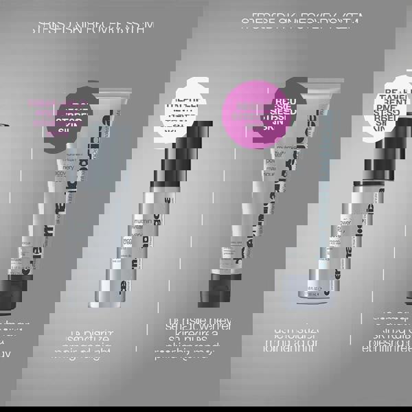 Dermalogica Stressed Skin Recovery System