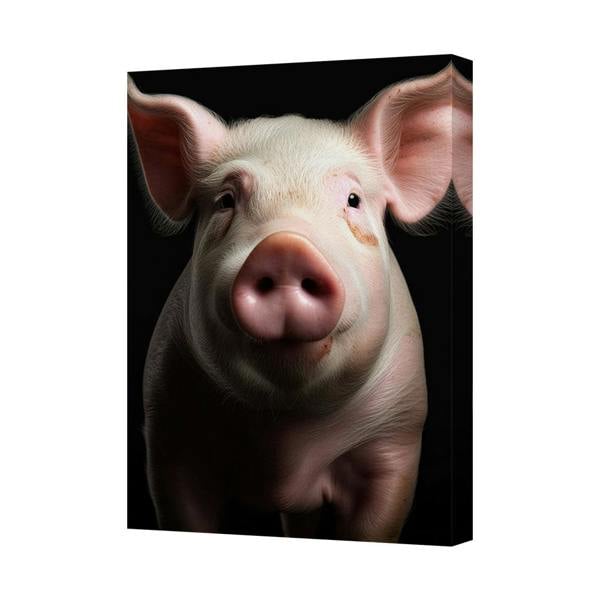 Benjamin Tate Design Pig Portrait On Canvas Wall Art Close Up Farm Animal Painting