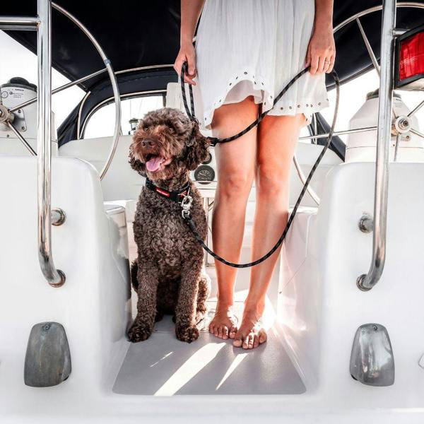EzyDog Marine Dog Lead in Black
