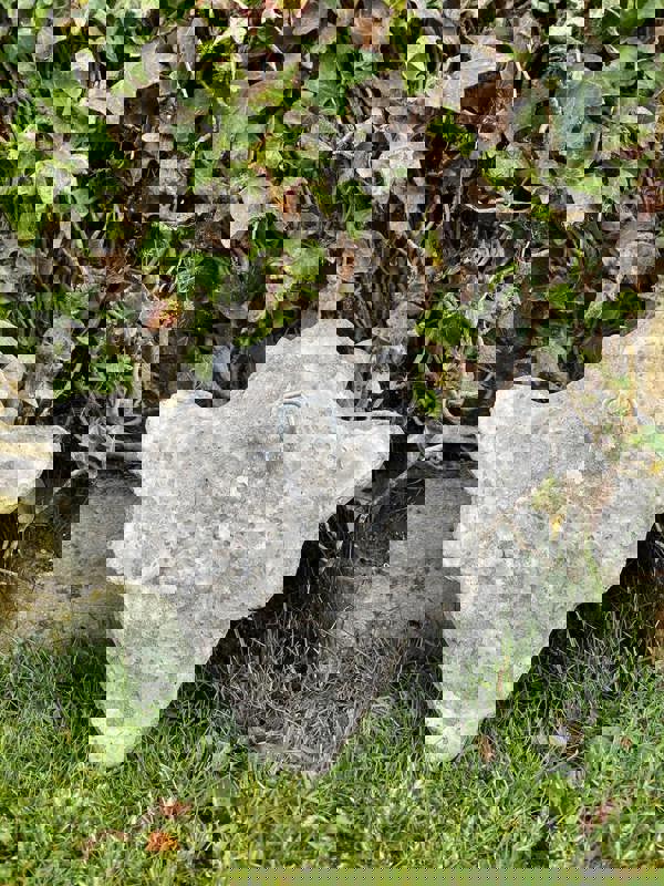 Stone Cast Gargoyle Wall Plaque