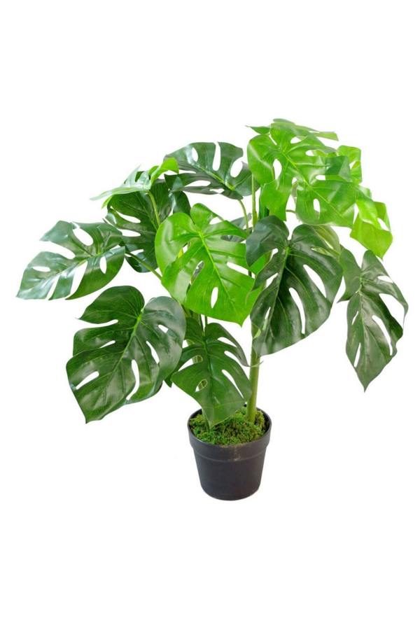Dyzi Artificial Monstera Plant In Moss Pot Realistic Design