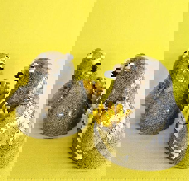 Percy With The Chips – Handmade Pigeon Ornament