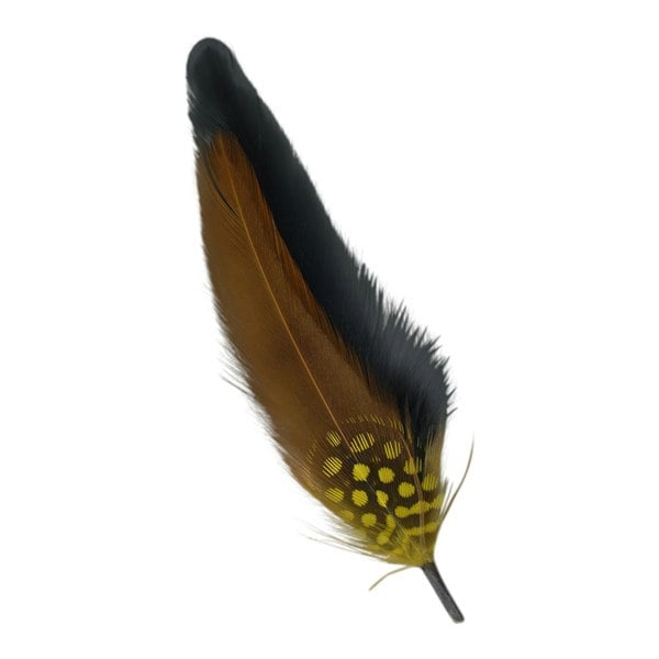 Gamble & Gunn Feather Mounts - Collection of 8 (Pack B)