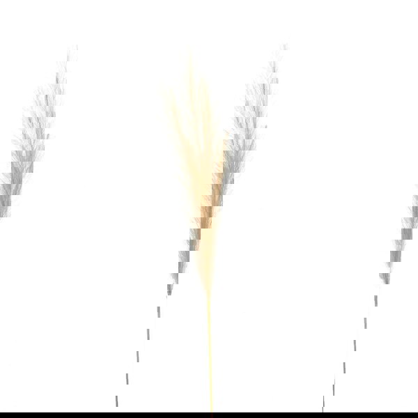 Hill Interiors Pampas Grass Artificial Flower - White