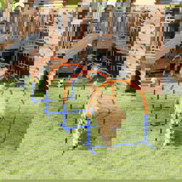 Pet Agility Set