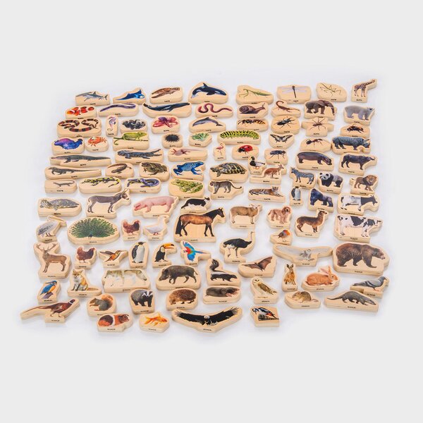 tickit Wooden Animal Blocks Bundle