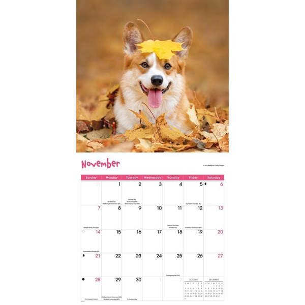 Playful Puppies Calendar 2027, Wall Calendars, Month To View, Dogs, Gift