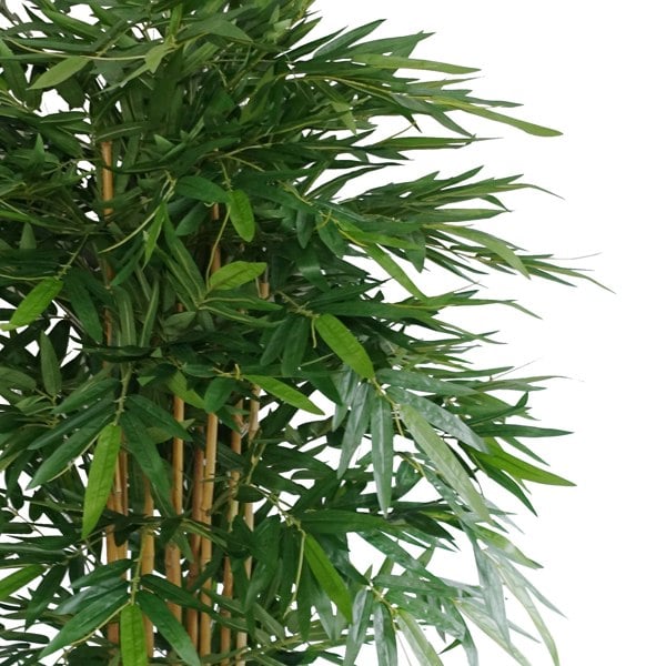 Botanik 180cm Premium UV Resistant Bamboo