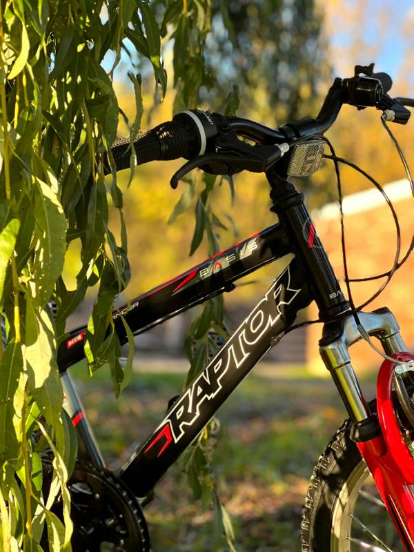 Basis Bikes Basis Raptor Junior Hardtail Mountain Bike, 20" Wheel - Gloss Black/Red