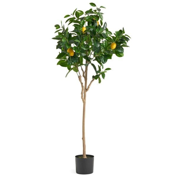 Botanik 150cm Premium Artificial Lemon Tree