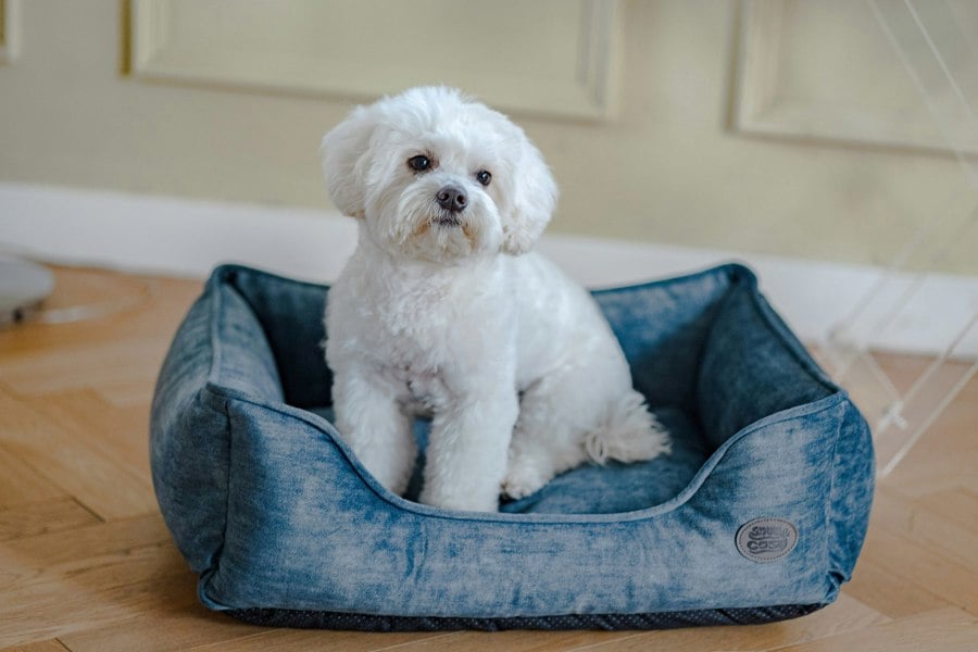 Snug and Cosy Pets Eco Rectangle Bed