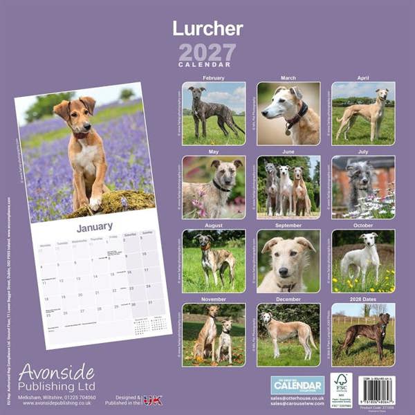 Lurcher Calendar 2027, Wall Calendars, Month To View, Dogs, Gift