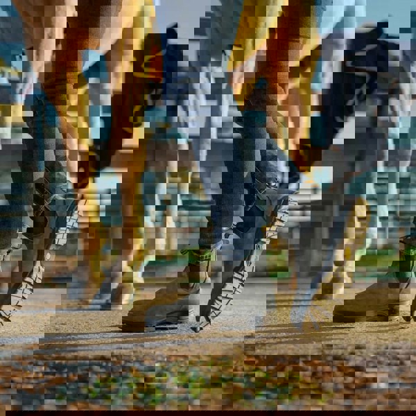 2055_boots_Black_10, 2055_boots_Black_10.5, 2055_boots_Black_11, 2055_boots_Black_12, 2055_boots_Black_3, 2055_boots_Black_3.5, 2055_boots_Black_4, 2055_boots_Black_4.5, 2055_boots_Black_5, 2055_boots_Black_5.5, 2055_boots_Black_6, 2055_boots_Black_6.5, 2055_boots_Black_7, 2055_boots_Black_7.5, 2055_boots_Black_8, 2055_boots_Black_8.5, 2055_boots_Black_9, 2055_boots_Black_9.5