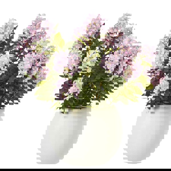 Hill Interiors Hydrangea Artificial Potted Plant - Pink
