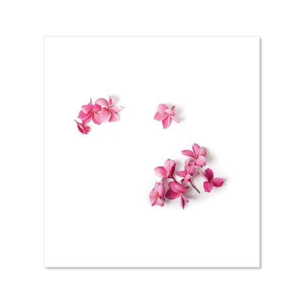 Warren Reed - Designer Pink Frangipani Flowers Kitchen Splashback