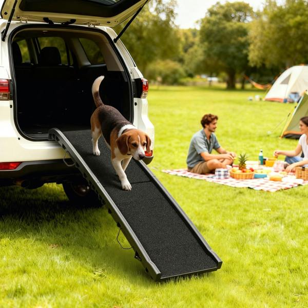 Pet Ramp