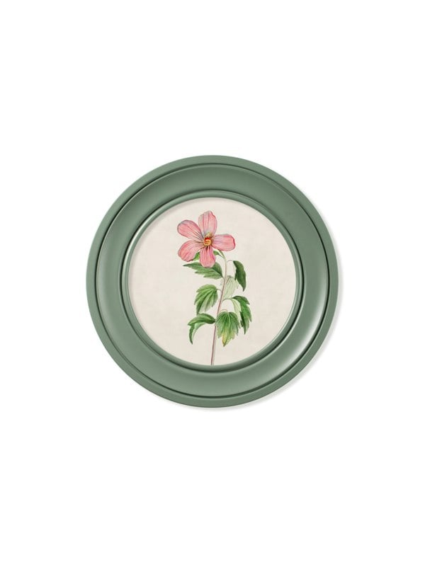 Exceptional Art c.1780 Flowering Plants Round Frame Green