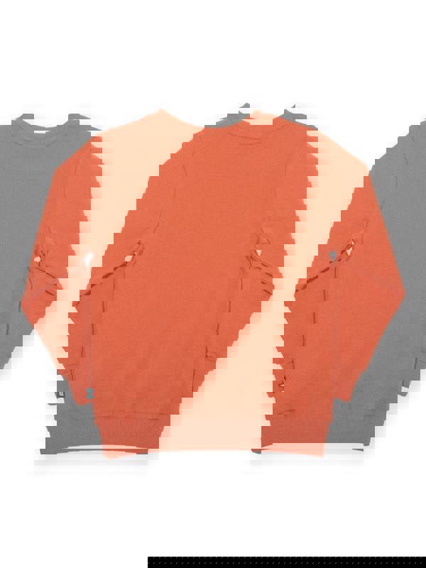 Kite Boys Organic Dino Discovery Sweatshirt