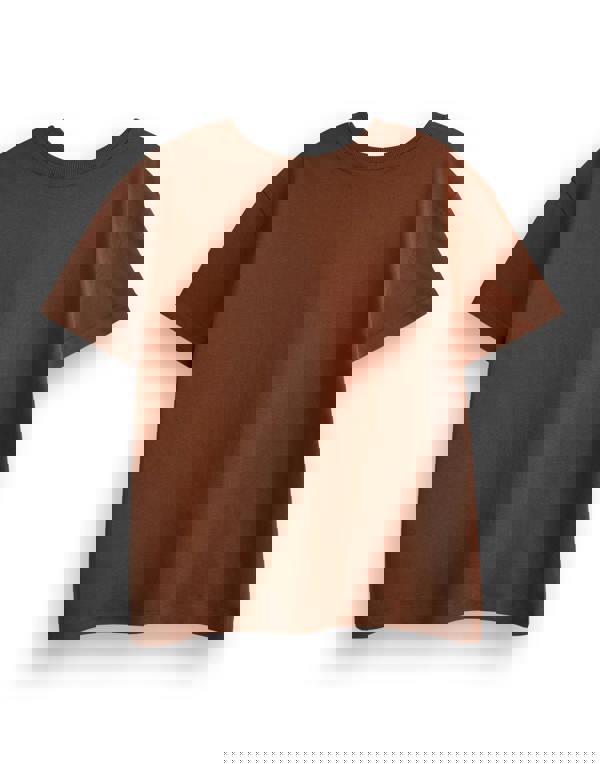 Gruffalo & Friends Boys Brown Big Character Short Sleeved T-Shirt