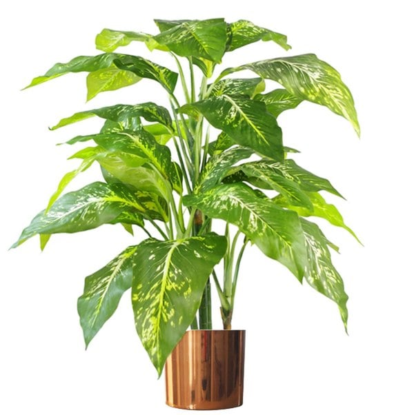 Leaf 100cm Large Fox's Aglaonema Realistic Tree Artificial Plant with Copper Metal Planter