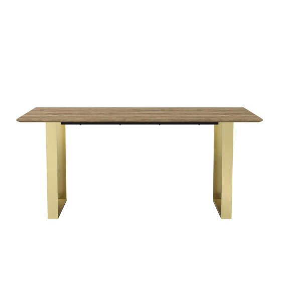 Wyld Haus Sazzuma Rectangular Wooden Dining Table Industrial Brass Metal Legs