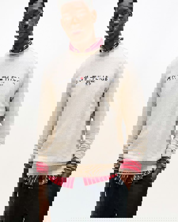 Tommy Hilfiger Tommy Logo Mens Sweatshirt - Heathered Pebble