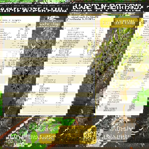 Bronte Heritage Olive Tree Fertiliser 120g – Slow-release granules for olive trees in pots & gardens. Promotes lush foliage & robust growth