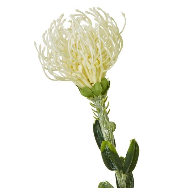 Wyld Haus Set of 3 Artificial Flowers Cream Pincushion Protea Sprays