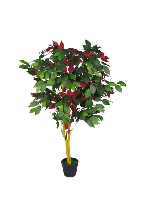 Dyzi 120cm Artificial Capensia Tree with Real Wood Trunk