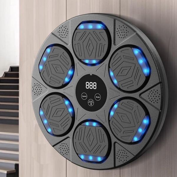 Leaper Sports Training Smart Musical Boxing Targets