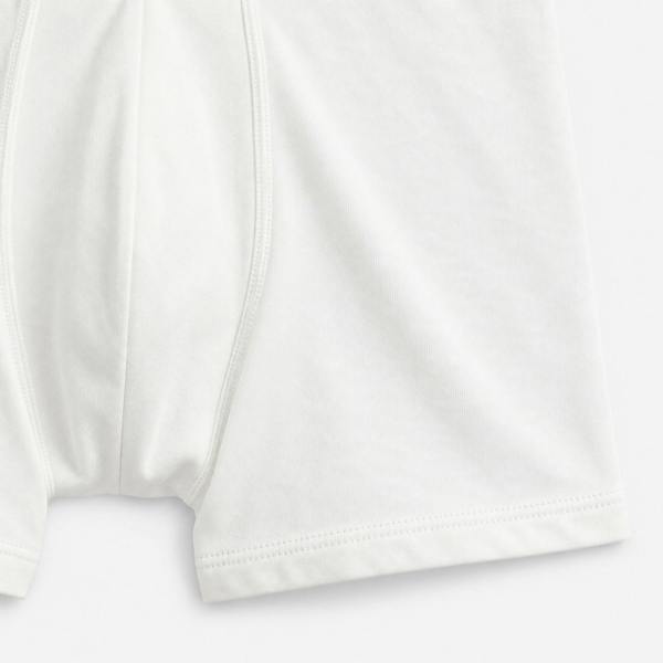 Polo Ralph Lauren Classic Trunks Trunks   in  Multicoloured
