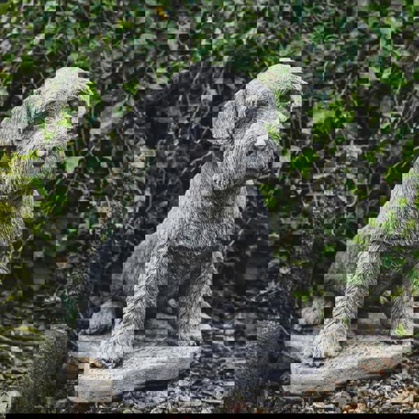 Large Schnauzer Stone Dog garden ornament