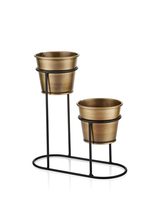 Rozi Gold 2in1 Succulent Plant Pot